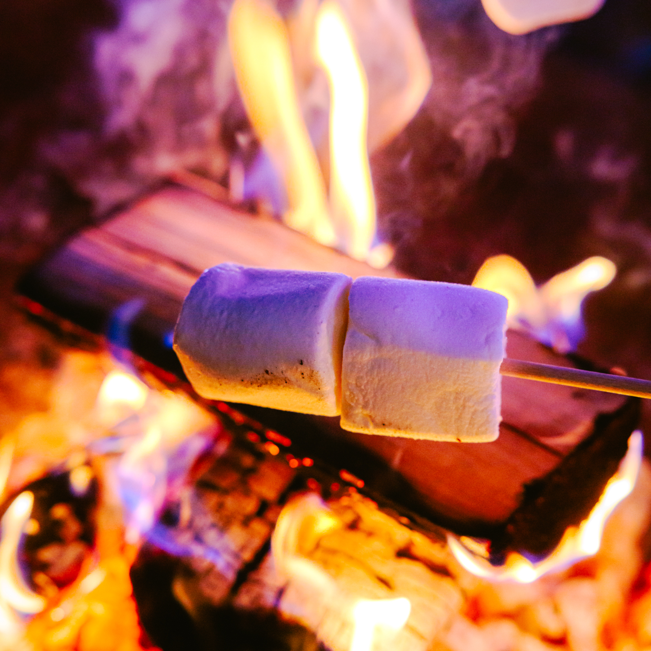 CCV Website Squares-Gav's10