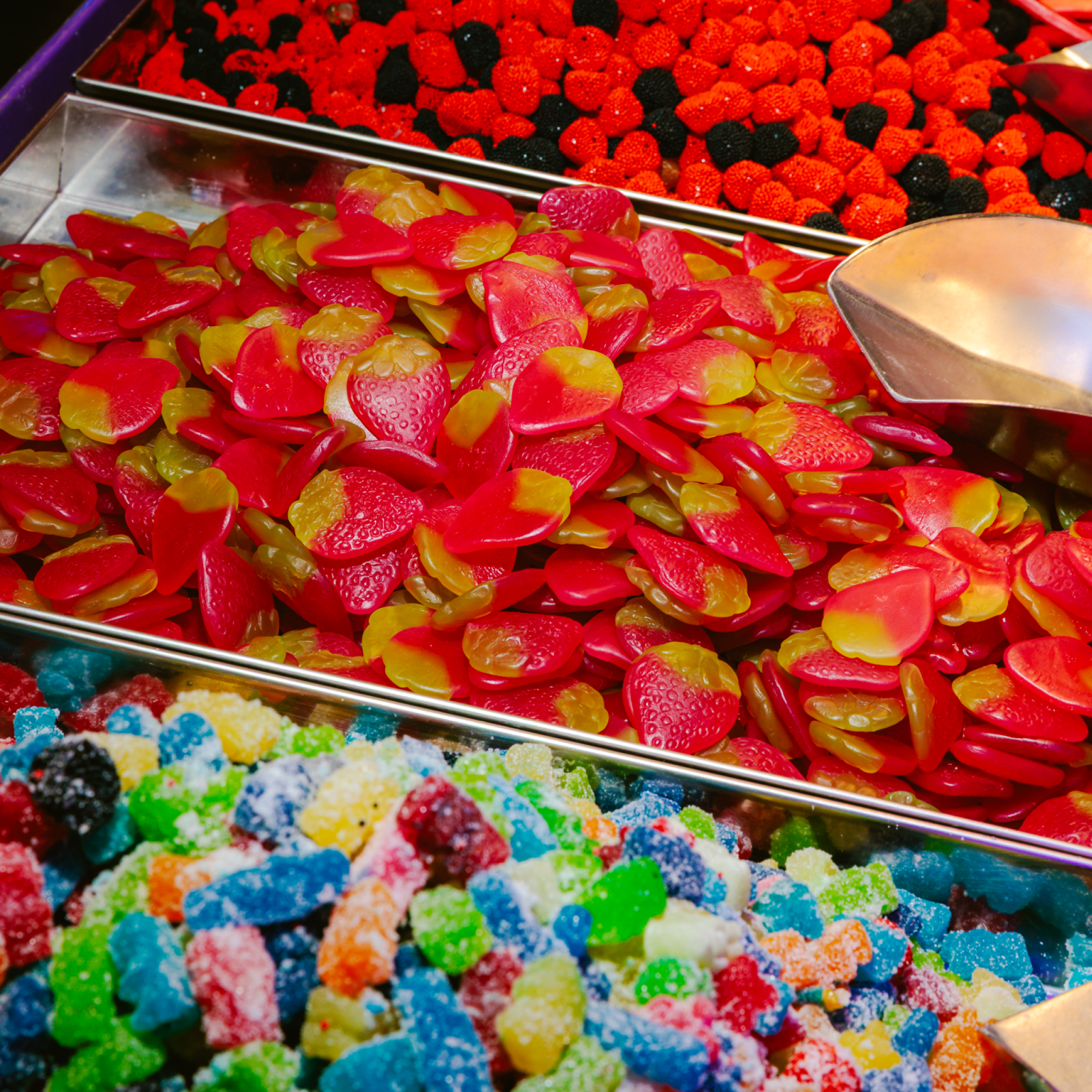 CCV Website Squares-Gav's15